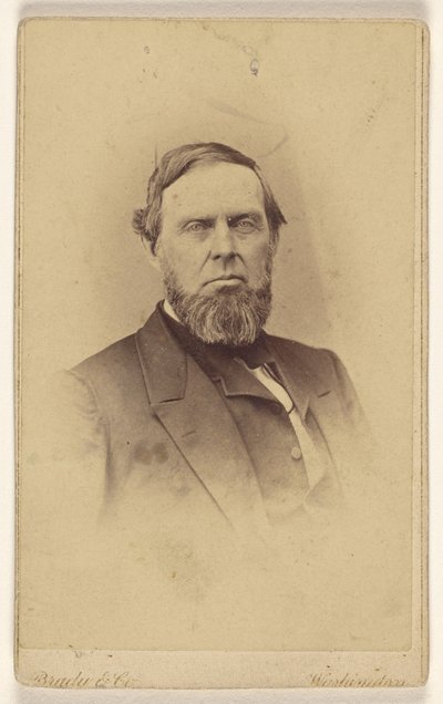 [Uidentifisert skjeggete mann, trykt i vignetstil] av Mathew B. Brady