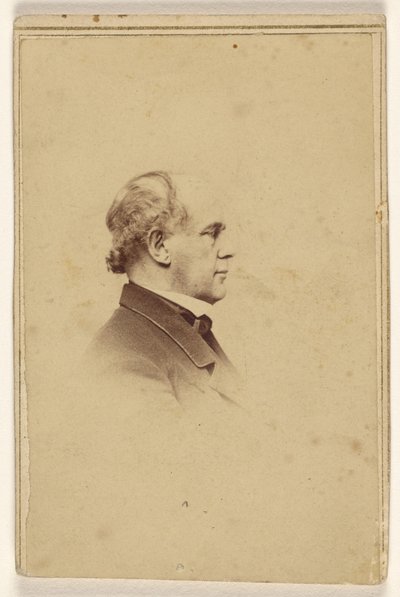 [Uidentifisert mann i profil, trykt i vignetstil] av Mathew B. Brady