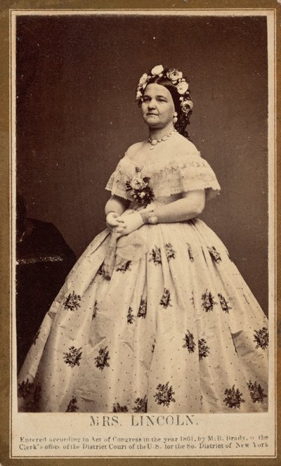  av Mathew Brady