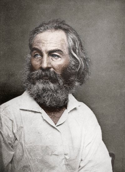 Walt Whitman , amerikansk poet, ca 1880-tallet. av Mathew B. Brady