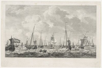 Sildefiske, 1781 av Mathias de Sallieth