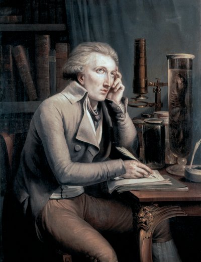 Portrett av Georges Leopold Cuvier av Mathieu Ignace van Bree