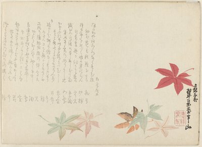 Japansk lønn av Matsukawa Hanzan