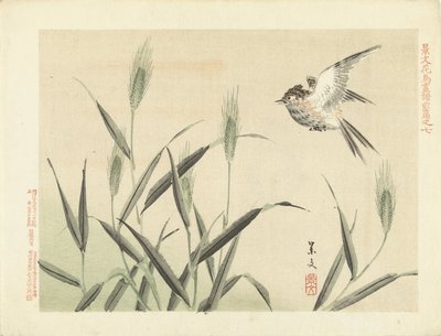 Fugl som flyr på gress Blomster- og fugleskisser fra Keibun – del én (serietittel) Keibun kacho gafu zen penn (serietittel på objekt) av Matsumura Keibun