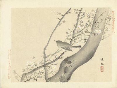 Fugl i tre med hvit blomst Blomster- og fugleskisser av Keibun- del én (serietittel) Keibun kacho gafu zenpen (serietittel på objekt) av Matsumura Keibun