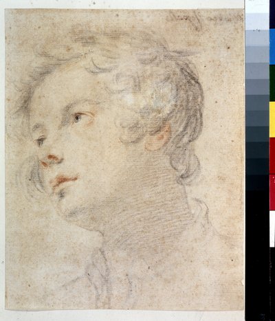 Hodet til en gutt. Maleri av Matteo Rosselli (1578-1650). Kritt og rødt kritt på papir av Matteo Rosselli