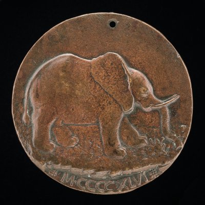 The Malatesta Elephant in a Meadow [revers], 1446. av Matteo di Andrea de Pasti