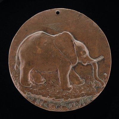 The Malatesta Elephant in a Meadow [revers], 1446. av Matteo di Andrea de Pasti