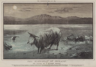 The Scape-Goat of Ireland; eller, The Shadow of a Hundred Wrongs (farge litho) av Matthew