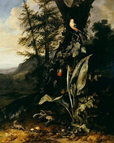 En skogbunn med en padde og en øgle, en oksefink på en gren av eføy over, og et fjell bortenfor av Matthias Withoos