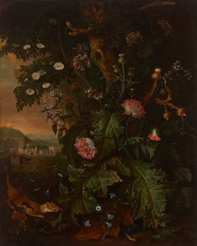  av Matthias Withoos