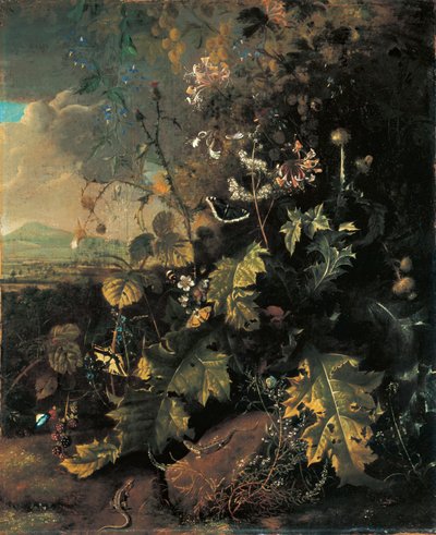 Skogbunn med sommerfugler og øgler av Matthias Withoos