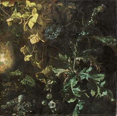 Tistel og andre planter på en skogbunn, et landskap bortenfor, fragmenterer av Matthias Withoos
