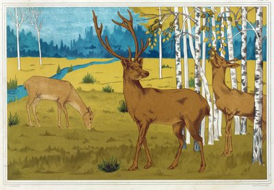 Hjort, fra "The Animal in the Decoration", pub. 1897. av Maurice Pillard Verneuil