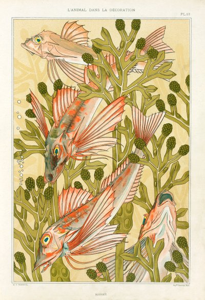 Red Mullet, pub. 1897. av Maurice Pillard Verneuil