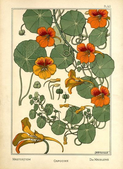 Nasturtium (farge litho) av Maurice Pillard Verneuil