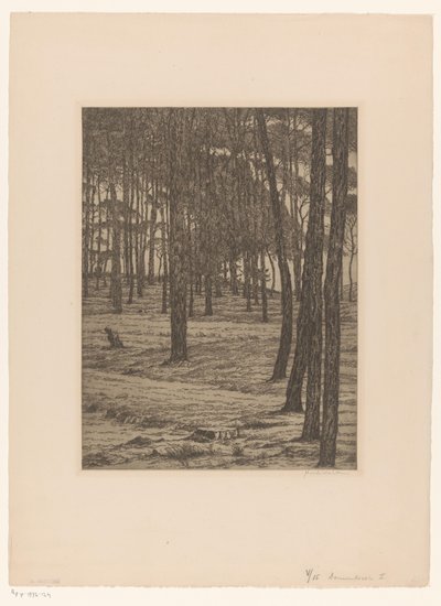 Dennenbosch I (original tittel på objekt) Bos (original tittel) av Maurits van der Valk (signed by artist)
