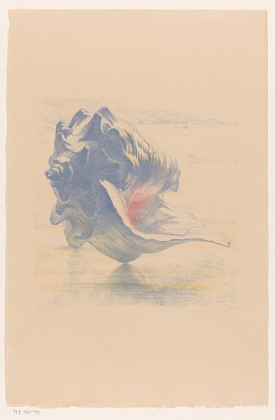 Shell av Maurits van der Valk (signed by artist)
