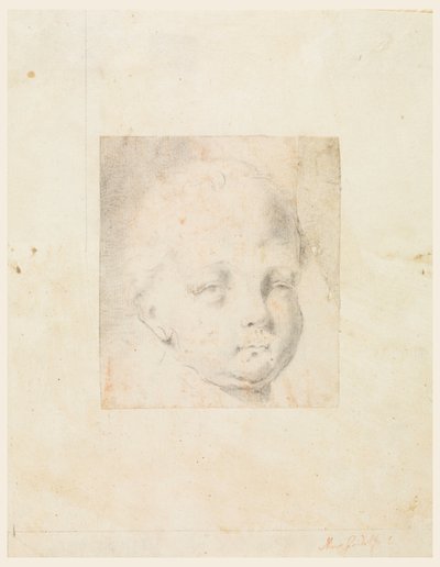  av Mauro Gandolfi