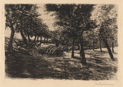 flokk med sauer under trær av Max Liebermann