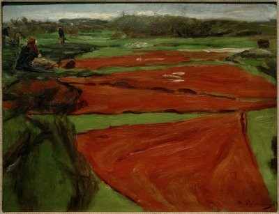Eng med spredt garn og seil av Max Liebermann