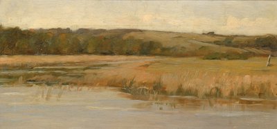 Hill and Marshland, slutten av 1800-begynnelsen av 1900-tallet. av Max Weyl