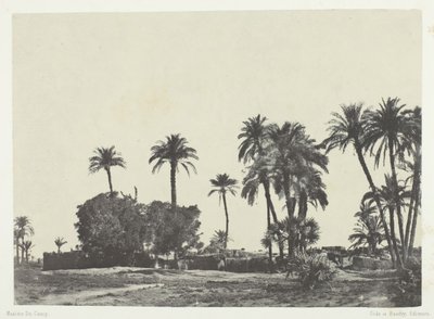 Landsbyen Hamameh, Øvre Egypt, 184951, trykt 1852. av Maxime Du Camp