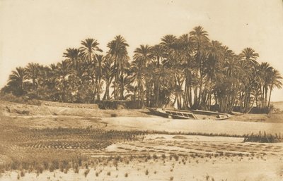 Utsikt over Elephantine Island, overfor Aswan, 1849-50. av Maxime Du Camp