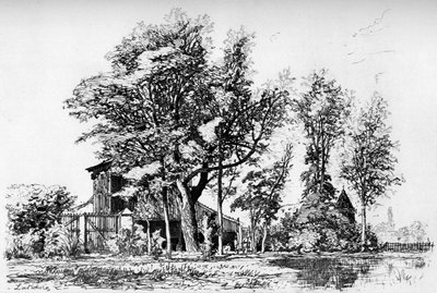 The Acacias, c1850-1895 1924 av Maxime Lalanne