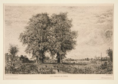 The Elms of C?non av Maxime Lalanne