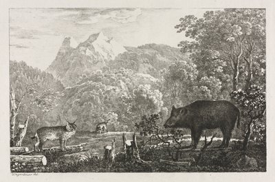 Villsvin, villkatt og gaupe, 1807. av Maximilian Josef Wagenbauer
