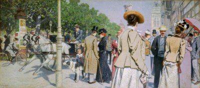 Sirk hjørne av Maximilian Lenz