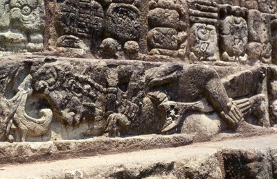 Fange av trinnene til Hieroglyftrappen, Copan, sen klassisk periode (600-900) ca. 760 e.Kr. av Mayan