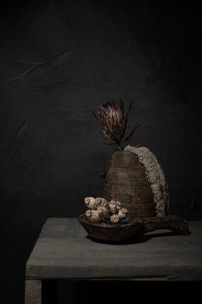 Stemningsfulle rustikke planter av Mayra Pama