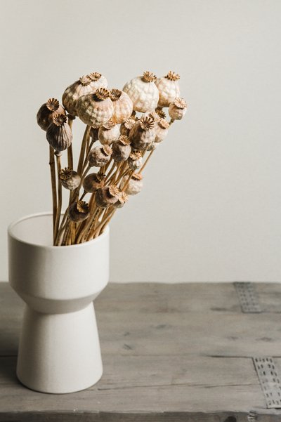 Naturlig vase med valmuekapsler av Mayra Pama