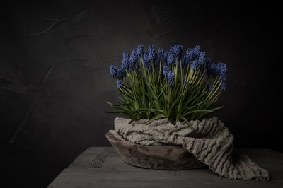 Rustikke blå blomster av Mayra Pama