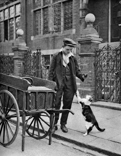 Cats meat man, London, 1926-1927 av McLeish