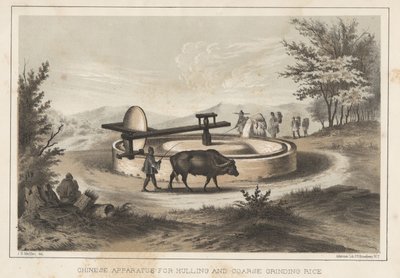 Kinesisk apparat for skrog og grovmaling av ris, 1855 av Meffert