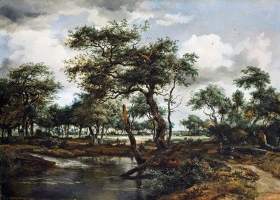 A Pond in the Forest, 1668 (olje på eikepanel) av Meindert Hobbema
