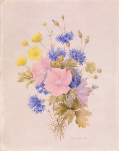 Åkerblomster av Melanie Marc