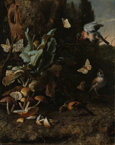 Dyr og planter av Melchior d