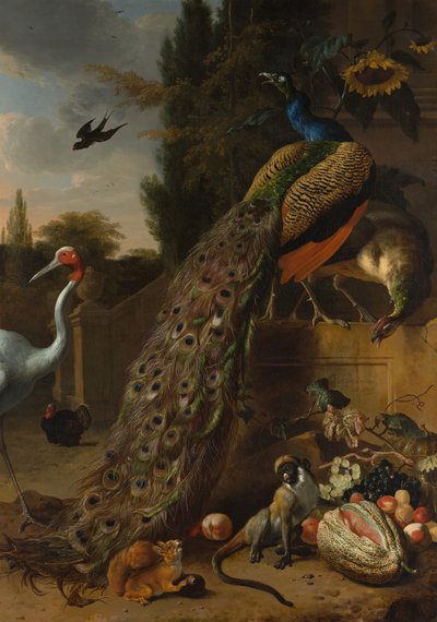 Påfugler, 1683. av Melchior d