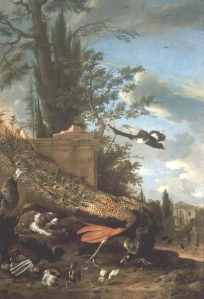 En påfugl og en spaniel i hagen til en villa av Melchior de Hondecoeter