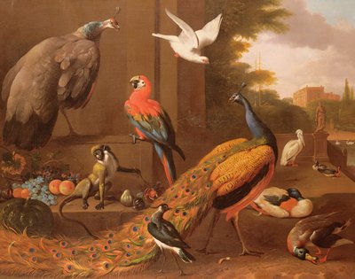 Fugler i et landskap av Melchior de Hondecoeter