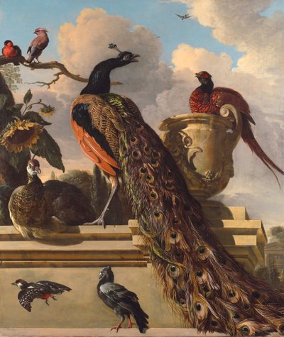 Fugler i parken av Melchior de Hondecoeter