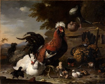Fred i hønsegården av Melchior de Hondecoeter