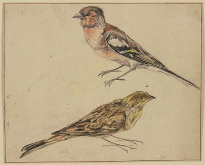En stillits og en tornirisk av Melchior de Hondecoeter