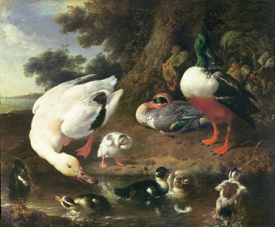 Gårdsender av Melchior de Hondecoeter