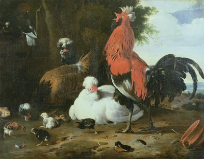 Gårdsfugler med duer av Melchior de Hondecoeter
