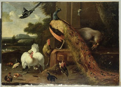 Opprør i fjørfekuppet av Melchior de Hondecoeter